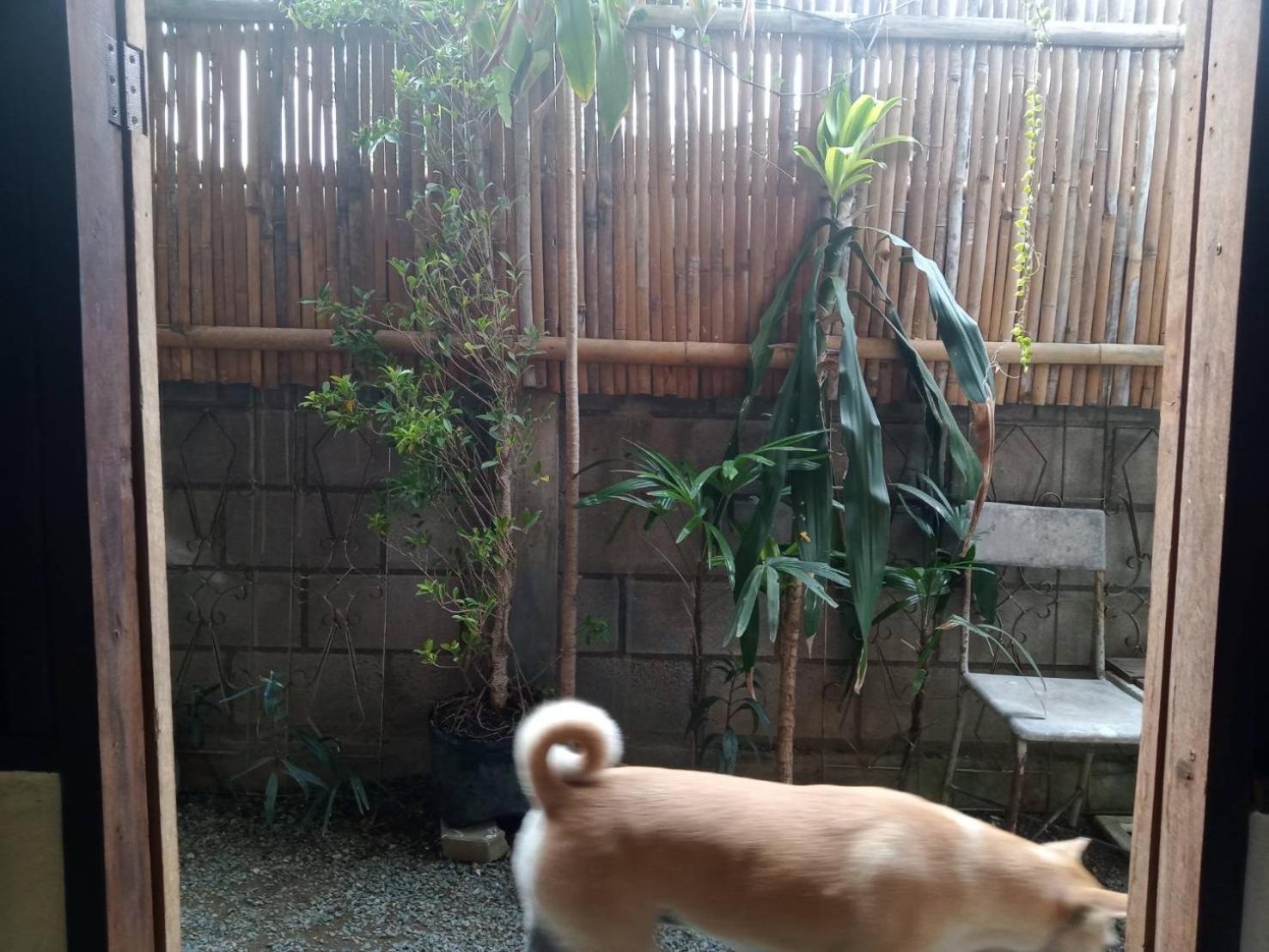 Imchai Pai Luaran gambar