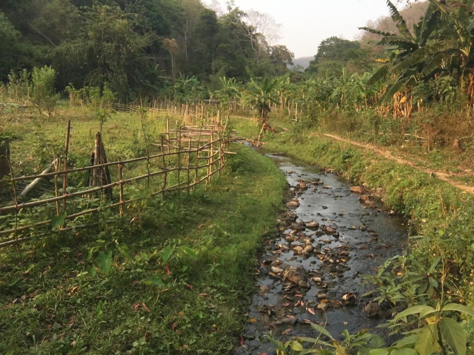 Imchai Pai Luaran gambar
